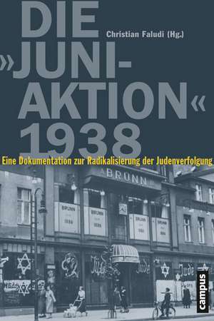 Die "Juni-Aktion" 1938 de Christian Faludi