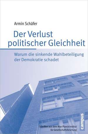 Der Verlust politischer Gleichheit de Armin Schäfer