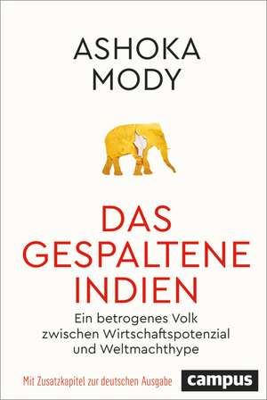 Das gespaltene Indien de Ashoka Mody