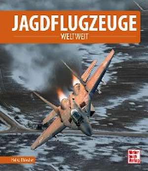 Jagdflugzeuge de Heiko Thiesler