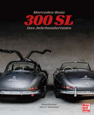 Mercedes-Benz 300 SL de Hans Kleissl