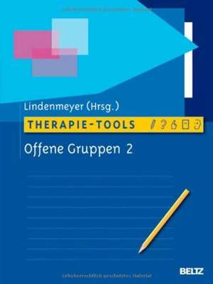 Therapie-Tools Offene Gruppen 2 de Johannes Lindenmeyer