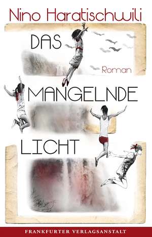 Das mangelnde Licht de Nino Haratischwili