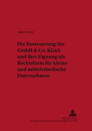 Die Besteuerung Der Gmbh & Co. Kgaa Und Ihre Eignung ALS Rechtsform Fuer Kleine Und Mittelstaendische Unternehmen: Zur Kooperation Zwischen Verantwortlichen in Grundschulen Und in Kir de Anette Renz