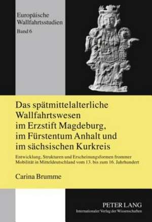 Das Spaetmittelalterliche Wallfahrtswesen Im Erzstift Magdeburg, Im Fuerstentum Anhalt Und Im Saechsischen Kurkreis: Entwicklung, Strukturen Und Ersch de Carina Brumme