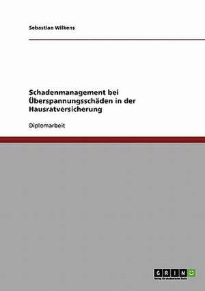 Schadenmanagement bei Überspannungsschäden in der Hausratversicherung de Sebastian Wilkens