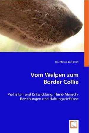 Vom Welpen zum Border Collie de Dr. Maren Lambrich