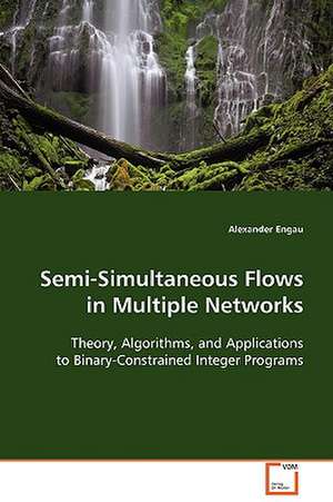 Semi-Simultaneous Flows in Multiple Networks de Alexander Engau