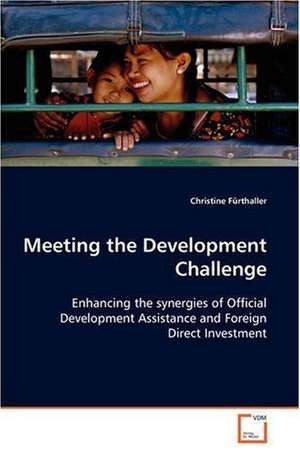 Meeting the Development Challenge de Christine Fürthaller