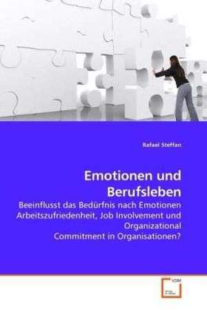 Emotionen und Berufsleben de Rafael Steffan