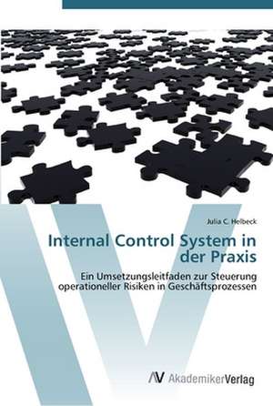 Internal Control System in der Praxis de Julia C. Helbeck