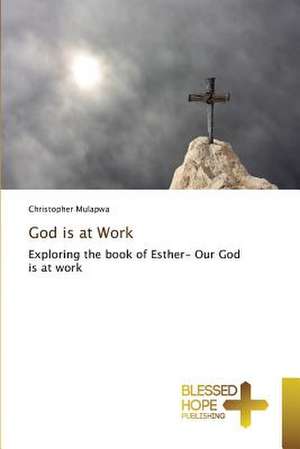 God Is at Work: Confused? de Christopher Mulapwa