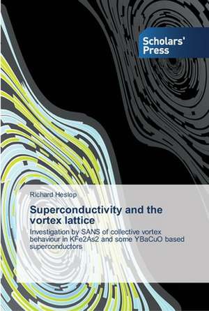 Superconductivity and the vortex lattice de Richard Heslop