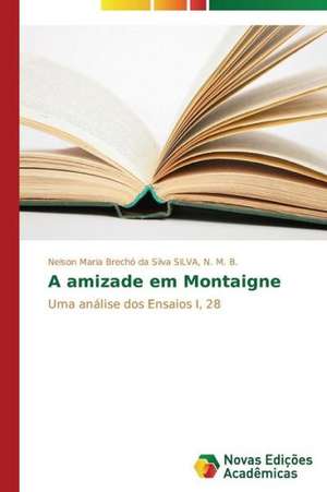 A Amizade Em Montaigne: Linkedin E Servqual de Nelson Maria Brechó da Silva