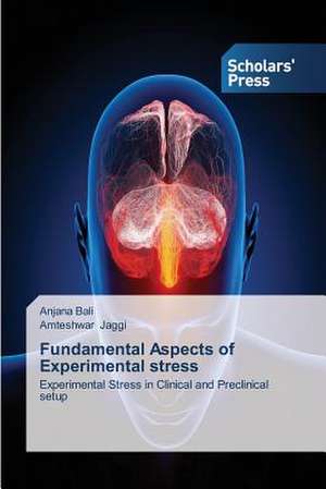 Fundamental Aspects of Experimental Stress