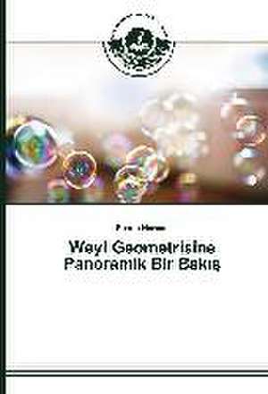 Weyl Geometrisine Panoramik Bir Bak: A Case Study from Turkey de Füsun Nurcan