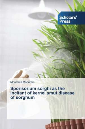 Sporisorium Sorghi as the Incitant of Kernel Smut Disease of Sorghum: A Flexible Approach de Moustafa Moharam