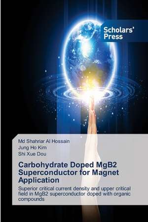 Carbohydrate Doped Mgb2 Superconductor for Magnet Application: Indian Success Stories de Md Shahriar Al Hossain