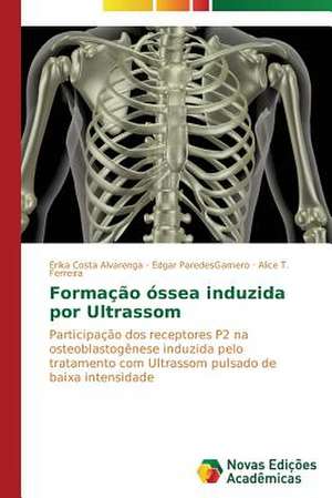 Formacao Ossea Induzida Por Ultrassom: Um Olhar Prospectivo de Érika Costa Alvarenga