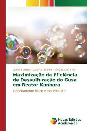 Maximizacao Da Eficiencia de Dessulfuracao Do Gusa Em Reator Kanbara: Uma Analise de Lucas 6,20-26 de Leandro Lemos