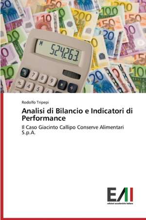 Analisi Di Bilancio E Indicatori Di Performance