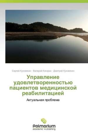 Upravlenie Udovletvorennost'yu Patsientov Meditsinskoy Reabilitatsiey: O Consumo Audiovisual Em Softwares Culturais de Sergey Kukovyakin