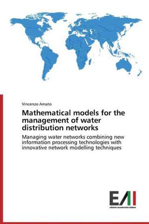 Mathematical Models for the Management of Water Distribution Networks: Caratterizzazione Fisica Di Un Sistema 3D Igrt de Vincenzo Amato