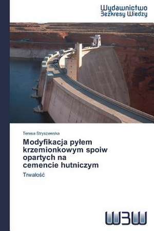 Modyfikacja Py Em Krzemionkowym Spoiw Opartych Na Cemencie Hutniczym: Rekl Mas Kampa a de Teresa Stryszewska