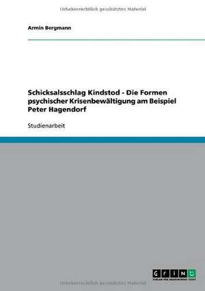 Schicksalsschlag Kindstod - Die Formen psychischer Krisenbewältigung am Beispiel Peter Hagendorf de Armin Bergmann