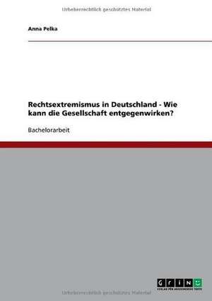 Rechtsextremismus in Deutschland - Wie kann die Gesellschaft entgegenwirken? de Anna Pelka