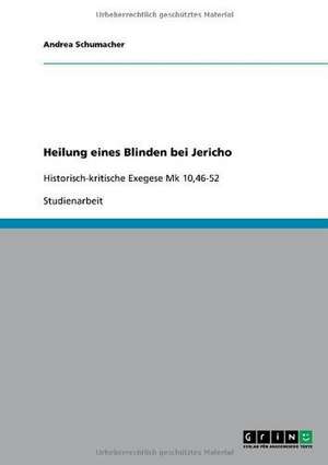 Heilung eines Blinden bei Jericho de Andrea Schumacher