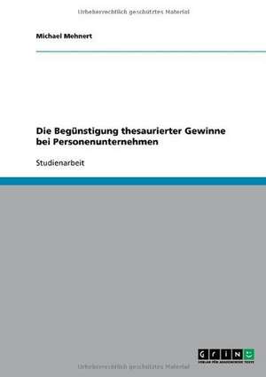 Die Begünstigung thesaurierter Gewinne bei Personenunternehmen de Michael Mehnert