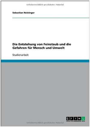 Die Entstehung von Feinstaub und die Gefahren für Mensch und Umwelt de Sebastian Neininger