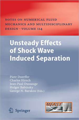 Unsteady Effects of Shock Wave induced Separation de Piotr Doerffer