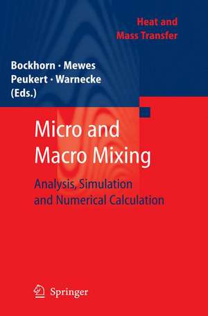 Micro and Macro Mixing: Analysis, Simulation and Numerical Calculation de Henning Bockhorn