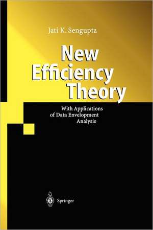 New Efficiency Theory: With Applications of Data Envelopment Analysis de Jati Sengupta