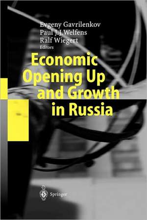 Economic Opening Up and Growth in Russia: Finance, Trade, Market Institutions, and Energy de Evgeny Gavrilenkov