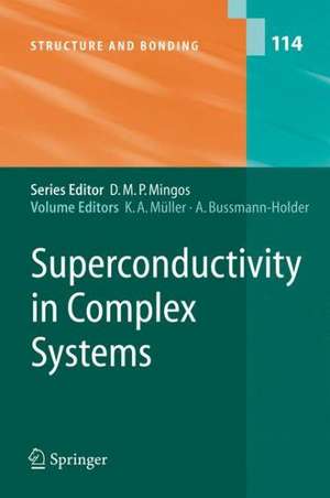 Superconductivity in Complex Systems de Karl Alexander Müller