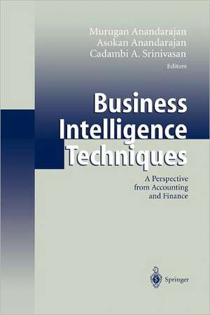 Business Intelligence Techniques: A Perspective from Accounting and Finance de Murugan Anandarajan