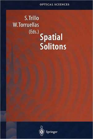 Spatial Solitons de Stefano Trillo