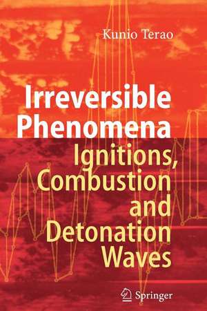 Irreversible Phenomena: Ignitions, Combustion and Detonation Waves de Kunio Terao