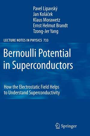 Bernoulli Potential in Superconductors: How the Electrostatic Field Helps to Understand Superconductivity de Pavel Lipavsky