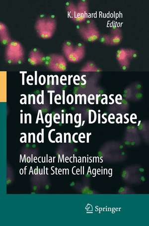 Telomeres and Telomerase in Aging, Disease, and Cancer: Molecular Mechanisms of Adult Stem Cell Ageing de K. Lenhard Rudolph