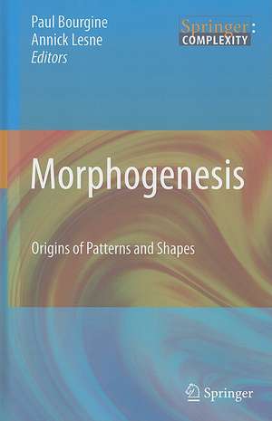 Morphogenesis: Origins of Patterns and Shapes de Paul Bourgine