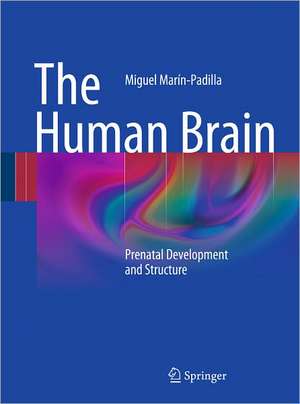 The Human Brain: Prenatal Development and Structure de Miguel Marín-Padilla