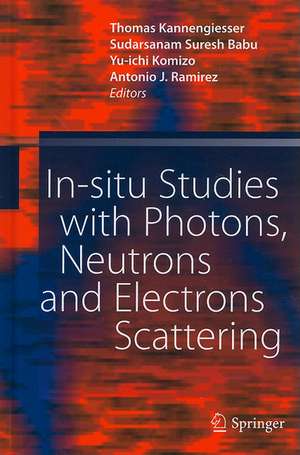 In-situ Studies with Photons, Neutrons and Electrons Scattering de Thomas Kannengiesser