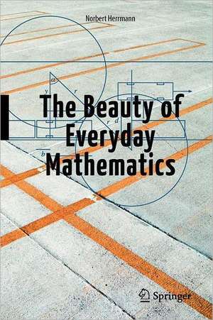 The Beauty of Everyday Mathematics de Norbert Herrmann