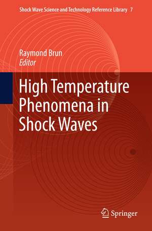 High Temperature Phenomena in Shock Waves de Raymond Brun