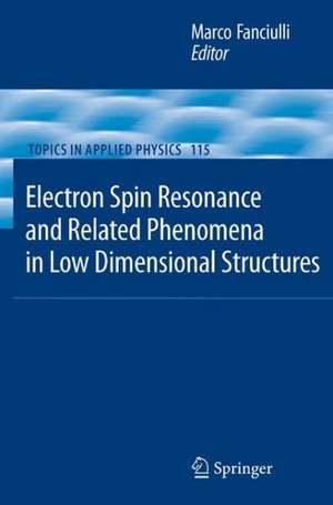 Electron Spin Resonance and Related Phenomena in Low-Dimensional Structures de Marco Fanciulli