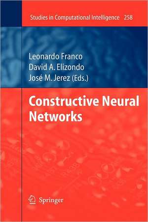 Constructive Neural Networks de Leonardo Franco